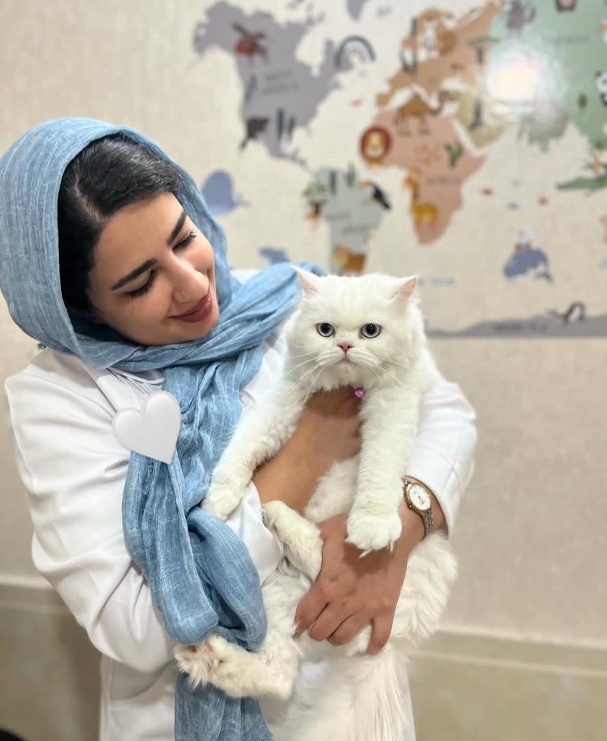 کلینیک دامپزشکی پتیکا در میدان چهارده معصوم کاشان